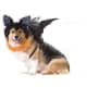 Animal Planet Spooky Bat Dog Halloween Costume with Wings & Furry Ears Headpiece Small