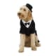 Dapper Dog Tuxedo X-Large Pet Costume