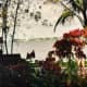 View of the Caloosahatchee River