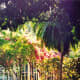 Lush tropical foliage around the Edison home