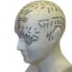 Phrenology became a popular party game - reading bumps on the head.