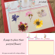Pressed flower board