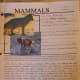 Mammals Notebook Page