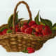 Vintage fruit clipart: a basket of strawberries