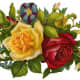 Victorian flowers: yellow and red rose and pansies