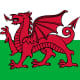 The Welsh Dragon, a Rare Beast indeed!