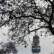 Pretoria is a "proud host City" of the 2010 Fifa World Cup - symbolised by this soccer ball on the Telkom tower, rising above the jacaranda blossoms