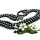 Black Cultured Freshwater Pearl Nacklace