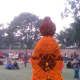 chrysanthemum-show