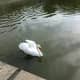 fukuoka-budget-my-travel-best-uminonakamichi-seaside-park