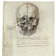 Da Vinci studied anatomy in order to perfect his art and sculptures in medical schools and dissection theatres