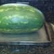 Place watermelon on baking pan and slice thin layer on bottom to create stable base.