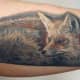 fox-tattoos-and-designs-fox-tattoo-meanings-and-ideas-animal-fox-tattoos
