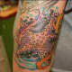 starfish-tattoos-and-designs-starfish-tattoo-meanings-and-ideas-starfish-tattoo-pictures