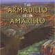 The Armadillo from Amarillo by Lynne Cherry