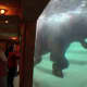 The view into the elephant's bath.