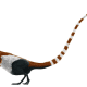 Digital illustration of the coelurosaurian dinosaur Sinosauropteryx prima, based on the holotype specimen. Coloration and pattern follows Zhang et al 2010.