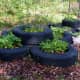 more-ideas-for-container-gardening