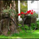 more-ideas-for-container-gardening