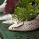 more-ideas-for-container-gardening