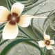 The doodads colouring produces Ultra Fractal flowers with the right parameters.