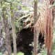exploring-the-back-roads-of-new-zealands-north-island-orakei-korako-the-hiddenvalley