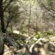 Trails at Barton Creek Greenbelt Austin Texas