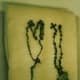 Rosary Beads from the Nagasaki bombing.  
