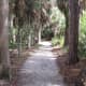 Trail