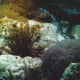 The National Aquarium, Baltimore
