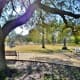 McGovern Centennial Gardens