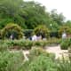 View of the rose garden