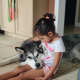 Bonding with the pet