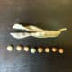 I opened this pod early to investigate what the seeds look like. Within hours the 4 seeds on the left looked like the 4 on the right, ready for storage or throwing.