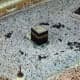breathtaking-images-of-mecca-in-saudi-arabia-pictures-islam-muslimreligion