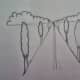 20-how-to-draw-trees-instructions-for-kids-step-by-step