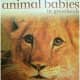 Animal Babies in Grasslands by Jennifer Schofield