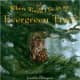 Where Would I Be in an Evergreen Tree? by Jennifer Blomgren - Images are from amazon.com.