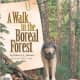 A Walk in the Boreal Forest (Biomes of North America) by Rebecca L. Johnson