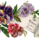 Vintage Mother's Day card: Pansies with scroll note "A token of love"