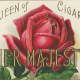 Vintage Mother's Day card: Red rose cigar label "Her Majesty"