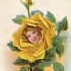 Yellow rose with little girls head