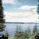 The view from the living room window of Hibbard's cabin overlooking Moose Lake.