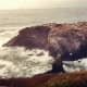 See all the birds roosting on this rock outcropping near the Yaquina Head Lighthouse?