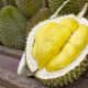 The King Of Fruits - Durian