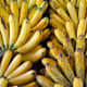Lakatan/Lacatan bananas from Mindanao Philippines.