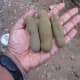 raw tamarind