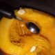 processing-and-cooking-fresh-pumpkin-for-pumpkin-pie-or-soup-recipes-an-illustrated-guide