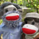 howtomakeasockmonkey
