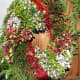 A Christmas wreath made of all natural vegetation from the Volcano area,